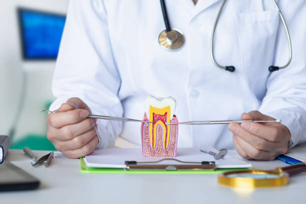 Best Emergency Root Canal Treatment in Glade Spring, VA